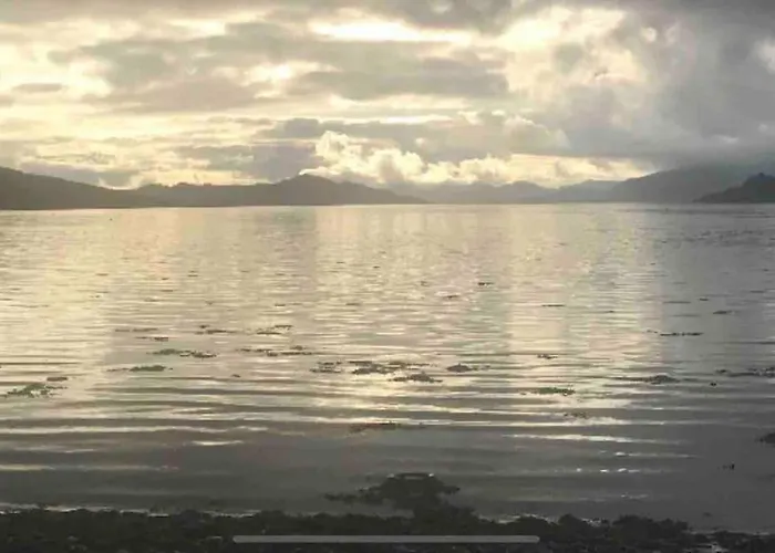 The Bay