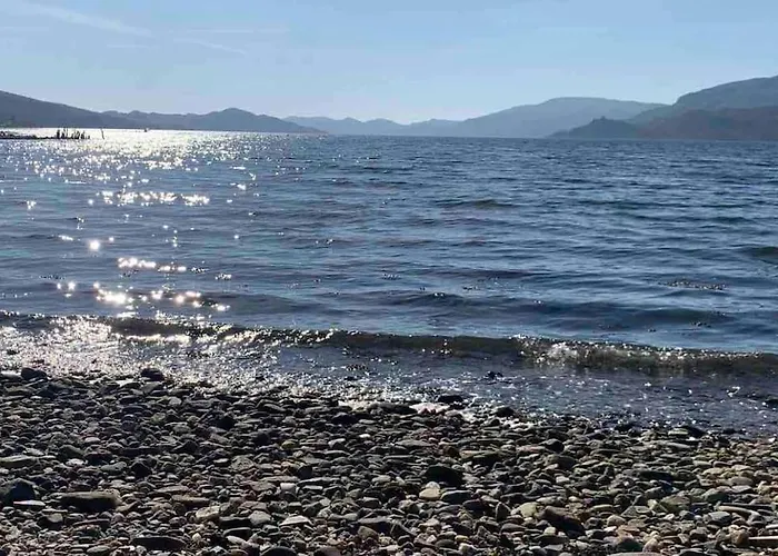 The Bay