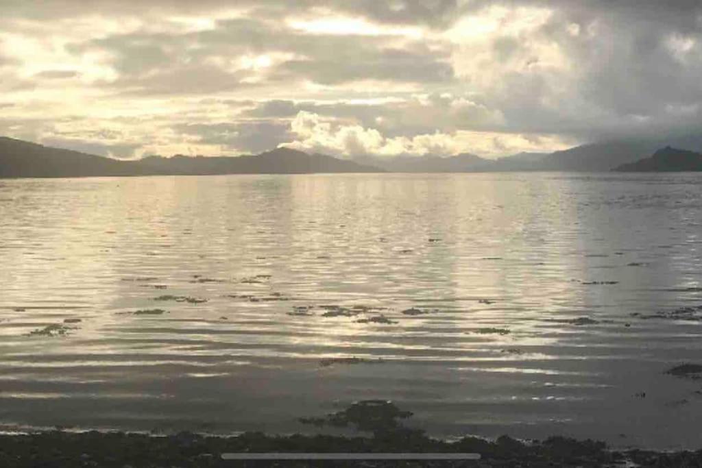 The Bay